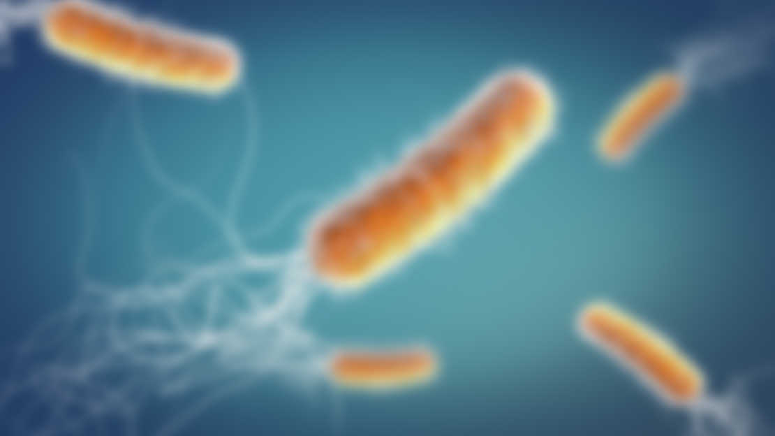 Bakterien Pseudomonas Aeruginosa er en aflang bakterie med tråde